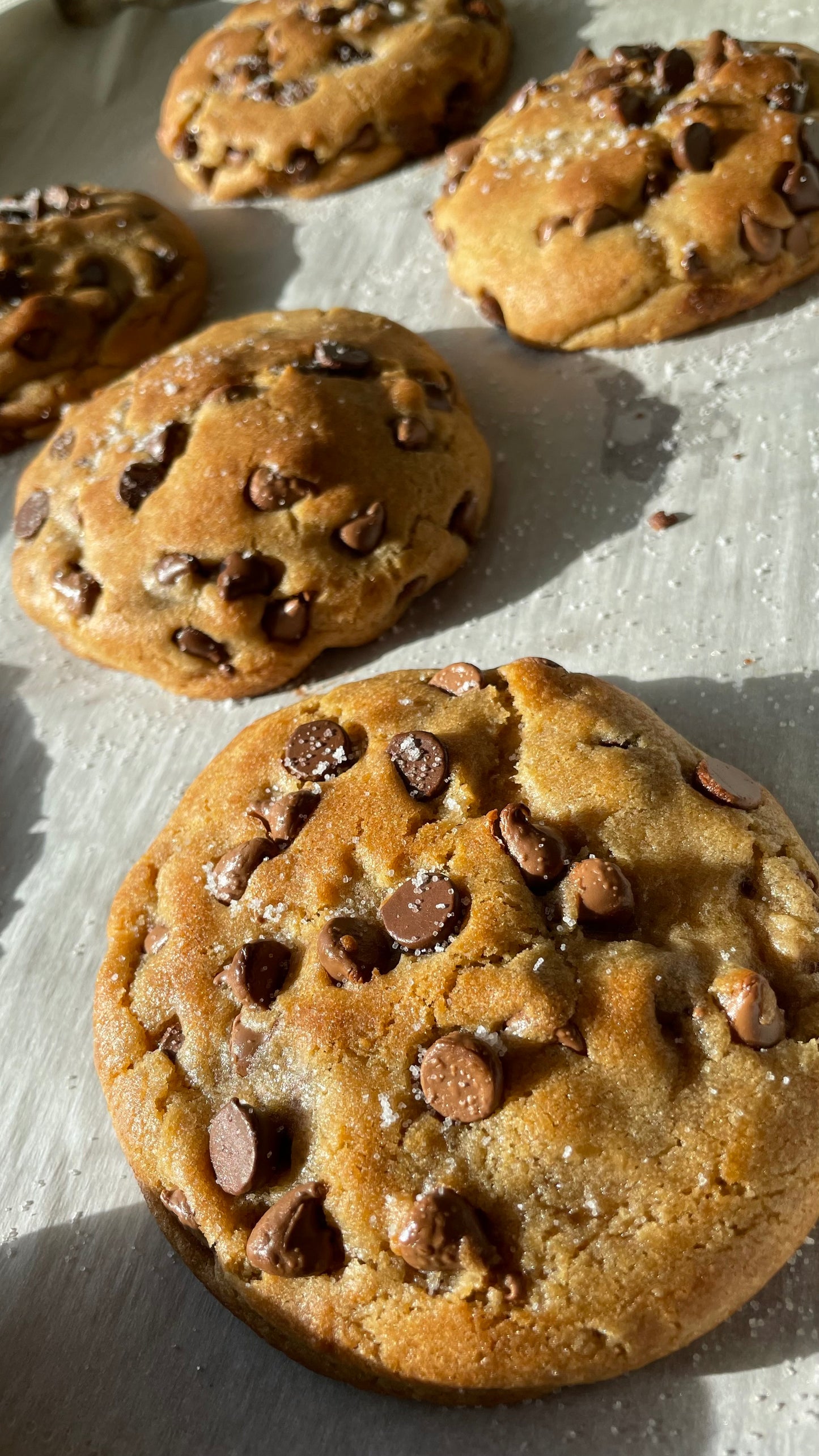 Chocolate Chip
