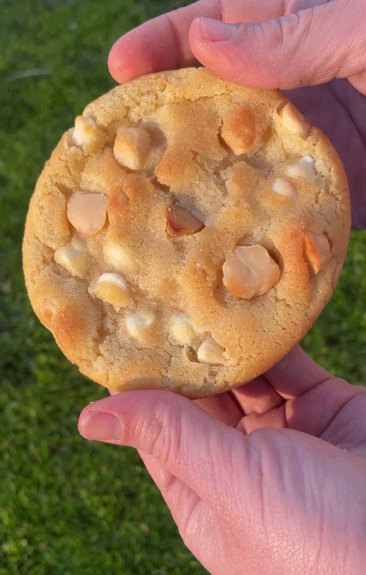 Hazerd’s White Chocolate Macadamia