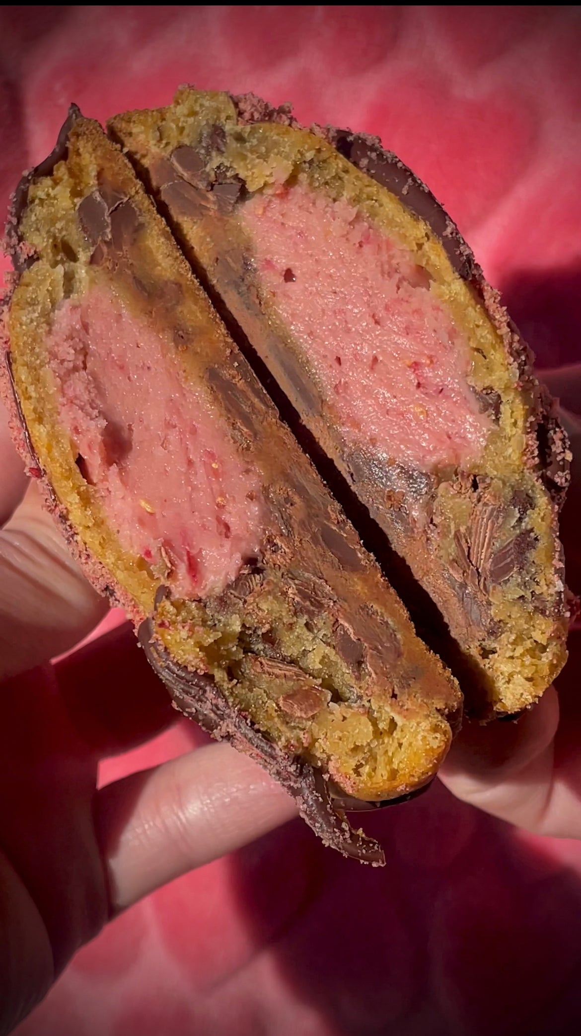 Raspberry Chocolate Chip