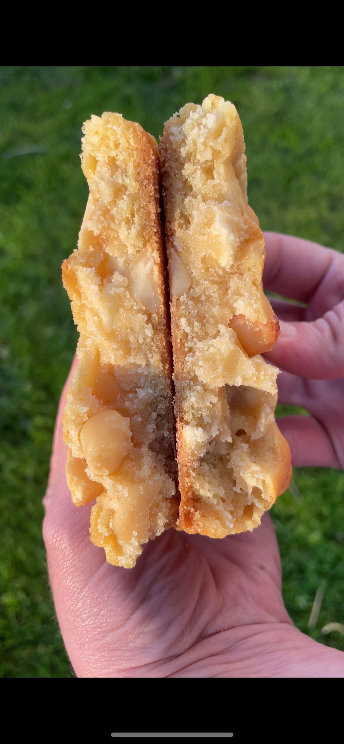 Hazerd’s White Chocolate Macadamia