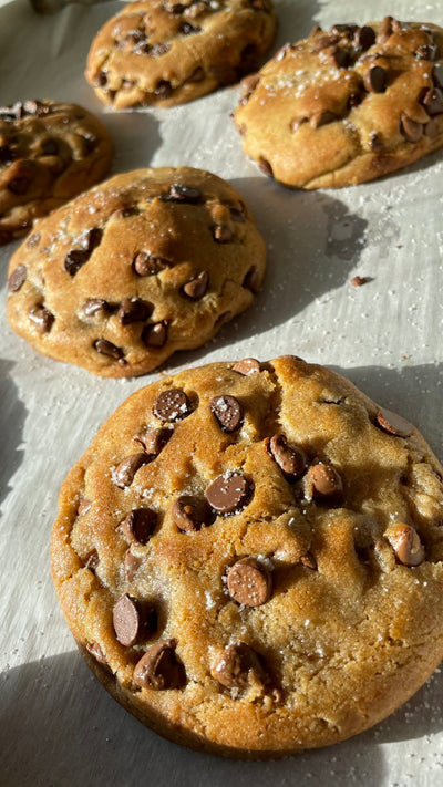 Chocolate Chip