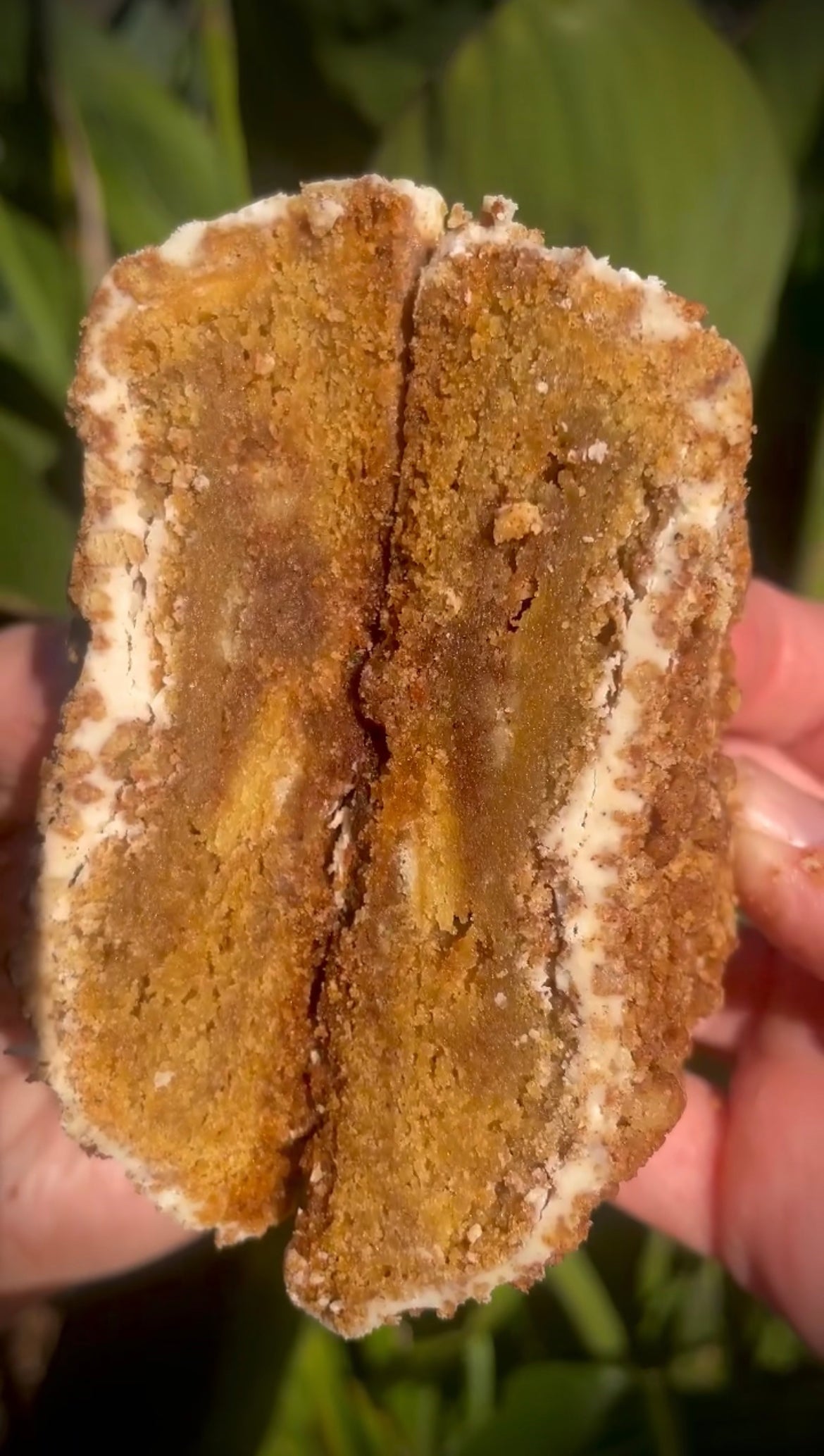 Browned Butter Coffee Cake Cookie